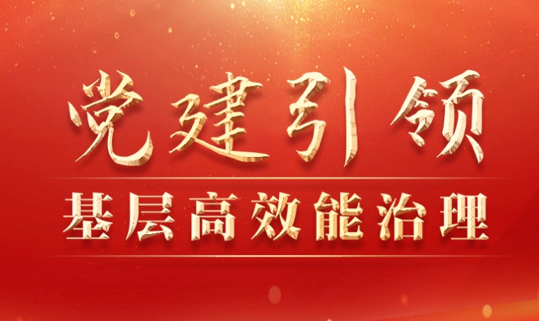 党建引领基层高效能治理